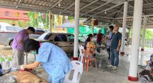 กิจกรรมผ่าตัดทำหมันสุนัข ภายใต้โครงการสัตว์ปลอดโรค คนปลอดภัย จากโรคพิษสุนัขบ้า ในพื้นที่ ต.หนองมะค่าโมง อ.ด่านช้าง