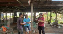 ตรวจประเมินฟาร์มที่มีระบบการป้องกันโรคและการเลี้ยงสัตว์ที่เหมาะสม (GFM) ชนิดไก่พื้นเมือง ในพื้นที่ ต.บ้านกุ่ม อ.สองพี่น้อง