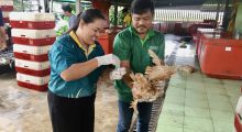 เฝ้าระวังโรคไข้หวัดนกเชิงรุกในโรงฆ่าสัตว์ปีก ประจำปี 2568 ในพื้นที่ อ.หนองหญ้าไซ