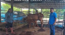 ตรวจเยี่ยมเกษตรกร ในพื้นที่ ตำบลเนินพระปรางค์ อำเภอสองพี่น้อง