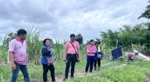ติดตามโครงการส่งเสริมเกษตรทฤษฎีใหม่ ปีงบประมาณ 2568 ในพื้นที่ ต.แจงงาม อ.หนองหญ้าไซ