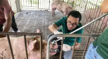 โครงการเฝ้าระวังโรคติดเชื้อไวรัสที่มีค้างคาวเป็นพาหะในสุกรในพื้นที่เสี่ยง ประจำปี 2568 พื้นที่ ต.สวนแตง อ.เมืองสุพรรณบุรี