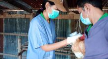 โครงการเฝ้าระวังโรคไข้หวัดนกและโรคนิวคาสเซิลในฟาร์ม GFM ในพื้นที่ ตำบลนิคมกระเสียว อำเภอด่านช้าง