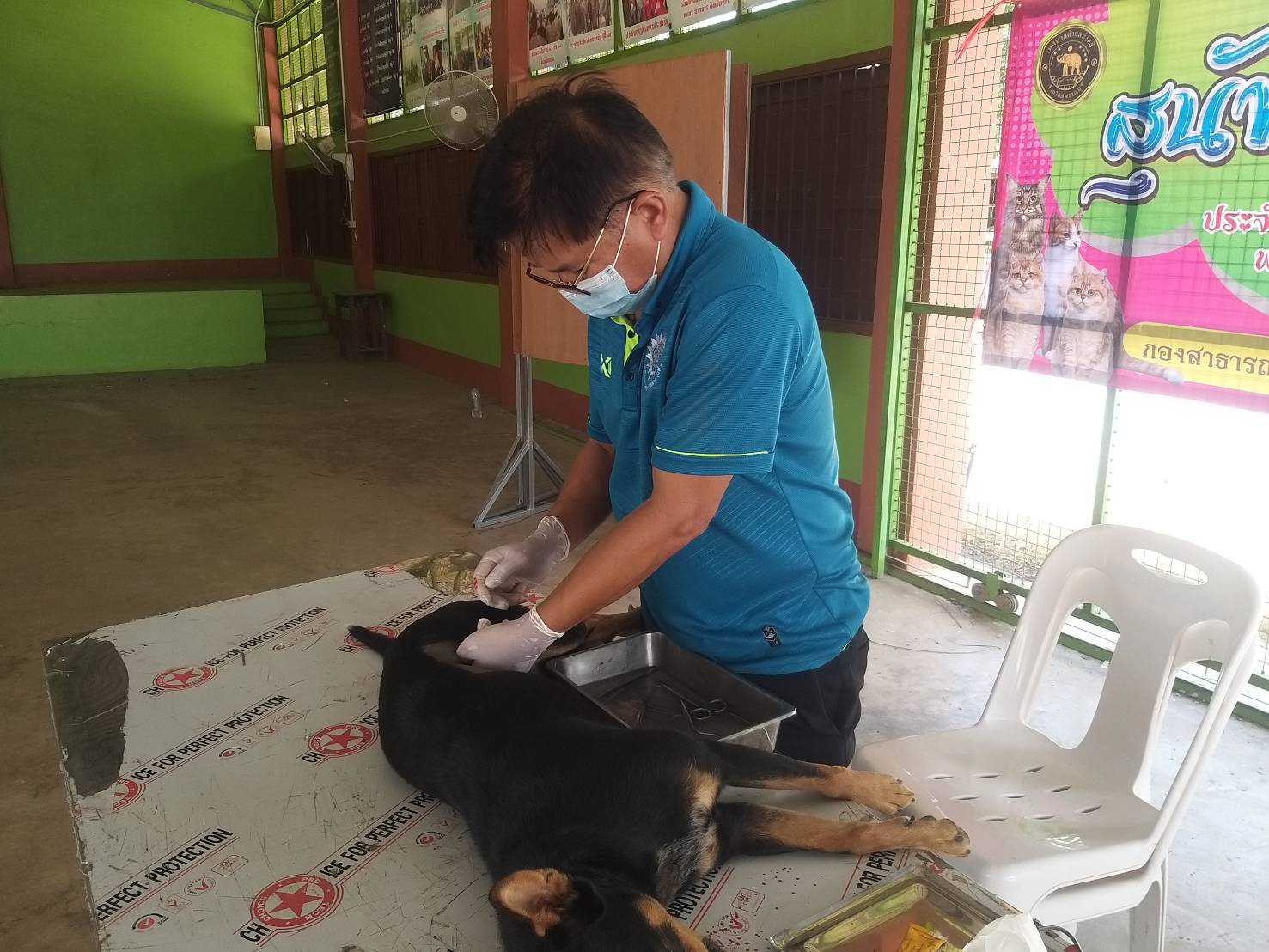 โครงการสัตว์ปลอดโรคคนปลอดภัยจากโรคพิษสุนัขบ้า