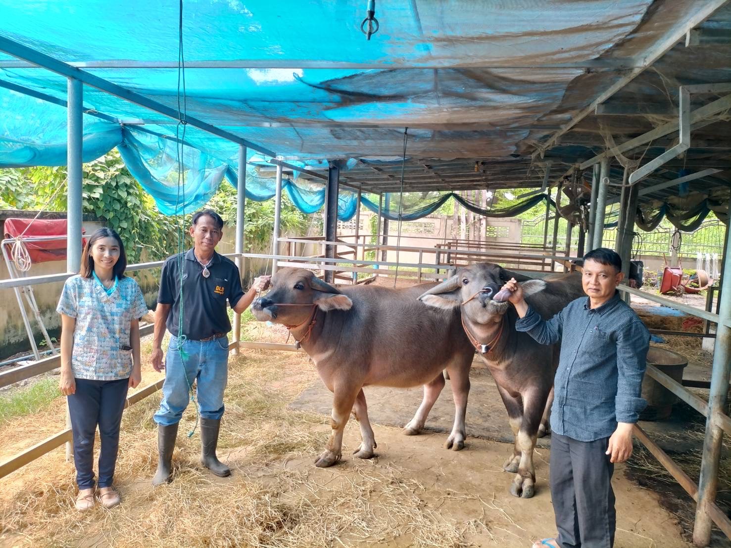 ฉีดวัคซีนป้องกันโรคเฮโมรายิกเซพติกซิเมีย